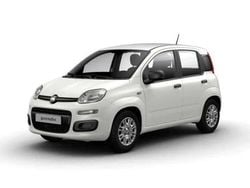 Bianco gelato pastello Usata 2021 Fiat Panda Easy Due volumi | 9300 € (Ottimo prezzo)