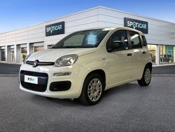 Bianco Usata 2019 Fiat Panda Easy Due volumi | 10.250 € (Buon prezzo)