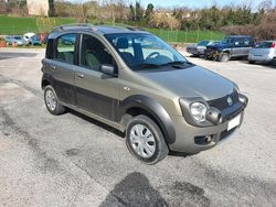 Grigio Usata 2007 Fiat Panda Cross Cross Due volumi | 7999 €