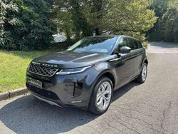 Grigio Usata 2019 Land Rover Range Rover evoque S SUV | 18.950 € (Ottimo prezzo)