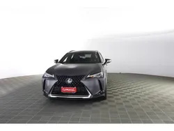 Grigio(met.) Usata 2020 Lexus UX 300e SUV | 21.890 €