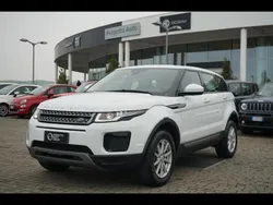 Bianco Usata 2018 Land Rover Range Rover evoque Pure SUV | 18.900 € (Super prezzo)