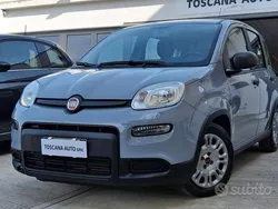 Usata 2022 Fiat Panda Cross Cross Due volumi | 10.499 € (Super prezzo)
