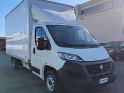 Bianco Usata 2021 Fiat Ducato Furgone | 14.790 € (Ottimo prezzo)