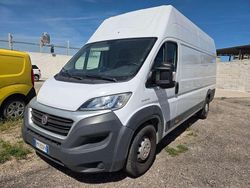 Bianco Usata 2018 Fiat Ducato Furgone | 12.900 € (Ottimo prezzo)
