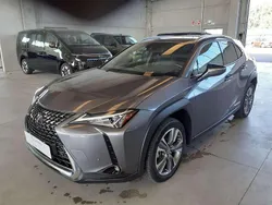 Grigio Usata 2022 Lexus UX 300e SUV | 24.800 €