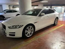 Bianco Usata 2016 Jaguar XE Prestige Tre volumi | 13.700 € (Buon prezzo)