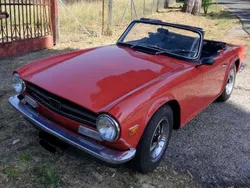 Arancione Usata 1973 Triumph TR6 Cabrio | 20.000 €