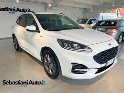 Frozen white Usata 2021 Ford Kuga ST-Line SUV | 20.490 € (Buon prezzo)