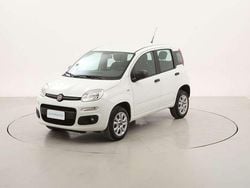 Bianco Usata 2019 Fiat Panda Easy Due volumi | 7490 € (Ottimo prezzo)