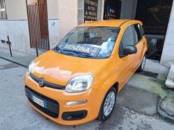 Arancione Usata 2020 Fiat Panda Lounge Tre volumi | 6899 € (Ottimo prezzo)