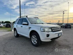 Usata 2010 Land Rover Freelander 2 S SUV | 6500 € (Buon prezzo)