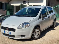Bianco Usata 2013 Fiat Punto Lounge Due volumi | 5990 € (Buon prezzo)