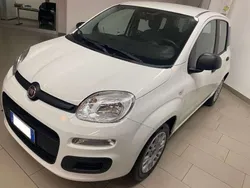 Bianco Usata 2019 Fiat Panda Easy Due volumi | 8490 € (Buon prezzo)