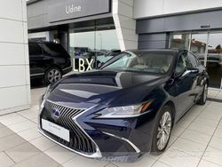 Blu/azzurro Usata 2020 Lexus ES300H Luxury Line Tre volumi | 38.500 €