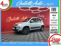 Argento Usata 2013 Fiat Panda 4x4 S Due volumi | 12.990 € (Molto cara)