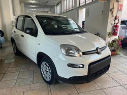 Vari colori Usata 2023 Fiat Panda City Life Tre volumi | 9500 € (Ottimo prezzo)