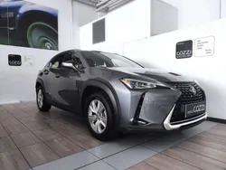 Grigio Usata 2022 Lexus UX Business Edition SUV | 22.500 € (Ottimo prezzo)