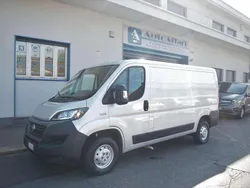 Grigio Usata 2020 Fiat Ducato Furgone | 15.900 € (Ottimo prezzo)
