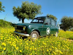 Usata 1990 Renault R4 Due volumi | 2499 €