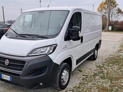 Bianco Usata 2020 Fiat Ducato Furgone | 13.250 € (Buon prezzo)