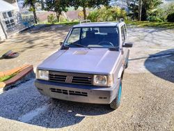 Grigio Usata 2001 Fiat Panda 4x4 Due volumi | 8000 € (Molto cara)