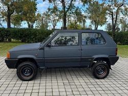 Blu Usata 1993 Fiat Panda 4x4 Due volumi | 5500 €