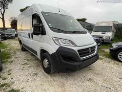 Bianco Usata 2019 Fiat Ducato Furgone | 17.500 € (Cara)