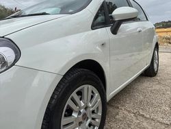 Bianco Usata 2013 Fiat Punto Due volumi | 7900 €