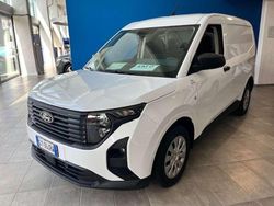 Frozen white Nuova 2025 Ford Transit Furgone | 19.000 € (Buon prezzo)