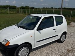 Bianco Usata 1999 Fiat Seicento Due volumi | 1800 € (Buon prezzo)