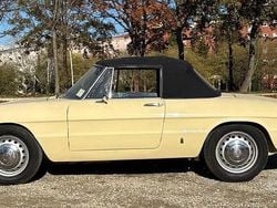 Usata 1960 Alfa Romeo Spider Cabrio | 55.000 €