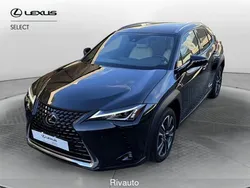 Nero Usata 2019 Lexus UX 300e SUV | 21.500 €