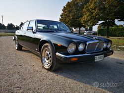 Usata 1980 Jaguar XJ6 Tre volumi | 12.000 €