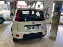 Bianco Nuova 2025 Fiat Panda Icon Due volumi | 12.900 €