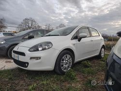 Bianco Usata 2012 Fiat Punto Lounge Tre volumi | 3800 € (Buon prezzo)