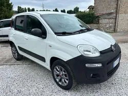 Bianco Usata 2016 Fiat Panda 4x4 Due volumi | 12.800 € (Molto cara)