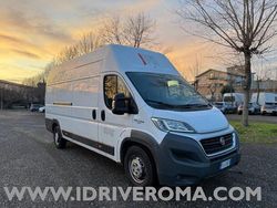 Bianco Usata 2017 Fiat Ducato Furgone | 10.990 € (Ottimo prezzo)