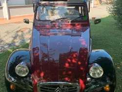 Usata 1981 Citroën 2CV Cabrio | 9900 €