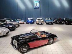 Nero Usata 1956 Austin-Healey 100 Cabrio | 85.000 €