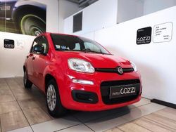 Rosso Usata 2021 Fiat Panda Easy Due volumi | 11.900 € (Cara)