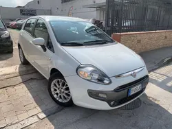 Bianco Usata 2010 Fiat Punto Evo Active Due volumi | 3000 €