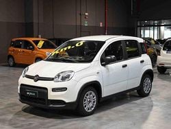 Bianco Usata 2023 Fiat Panda Due volumi | 10.950 € (Buon prezzo)