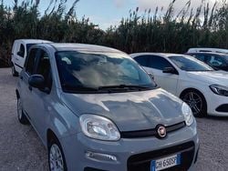 Grigio Usata 2022 Fiat Panda Cross Cross Due volumi | 10.500 € (Buon prezzo)