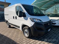 Bianco Usata 2020 Fiat Ducato Furgone | 14.800 € (Buon prezzo)