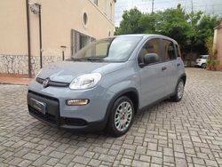 Grigio Usata 2023 Fiat Panda S Due volumi | 11.900 € (Buon prezzo)