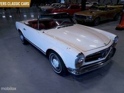 Bianco Usata 1964 Mercedes 230 Cabrio | 39.950 €