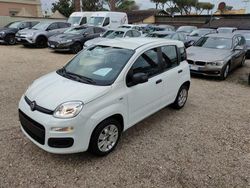 Bianco Usata 2020 Fiat Panda Pop Due volumi | 12.700 € (Molto cara)