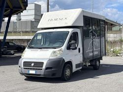 Bianco Usata 2009 Fiat Ducato 33 Furgone | 17.800 €