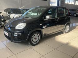 Nero Usata 2023 Fiat Panda Due volumi | 11.699 € (Buon prezzo)